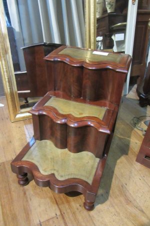 ZZ5574 Victorian Library Steps